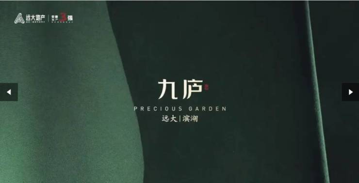 楼盘排行榜前十名合肥新楼盘】瓦利棋牌滨湖区远大九庐【合肥(图4)